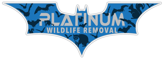 911 Wildlife Control